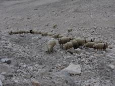 Klik za večjo sliko